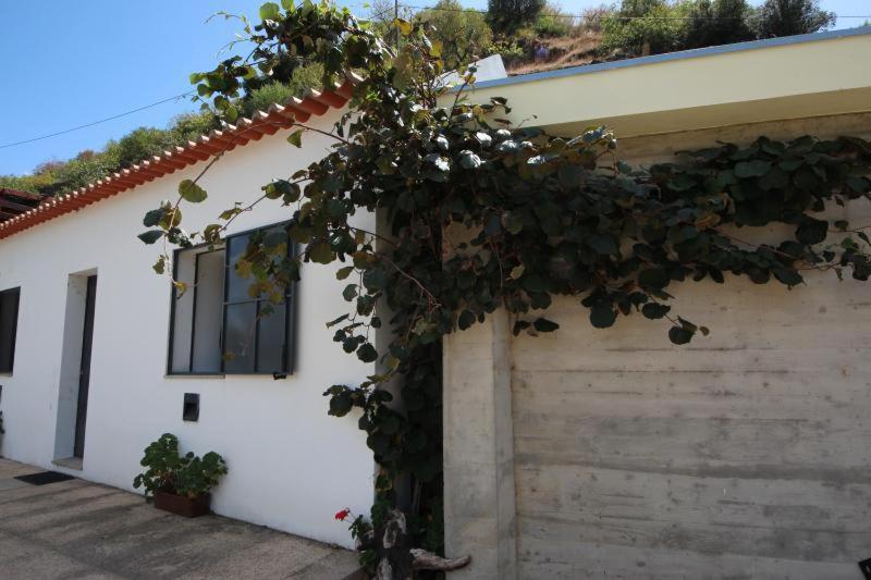 Douro Yachts&Chalets São João da Pesqueira Exterior foto